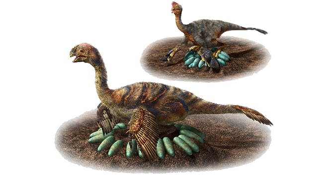 প্রতীকী ছবি: এএফপি