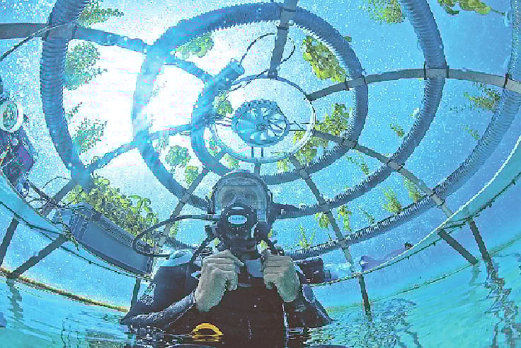 ছবি: ওশান রিফ গ্রুপের ফেসবুক থেকে।