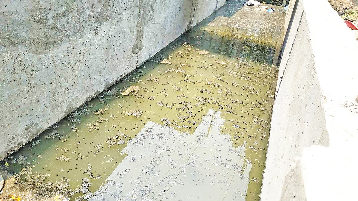 ছবি: প্রথম আলো