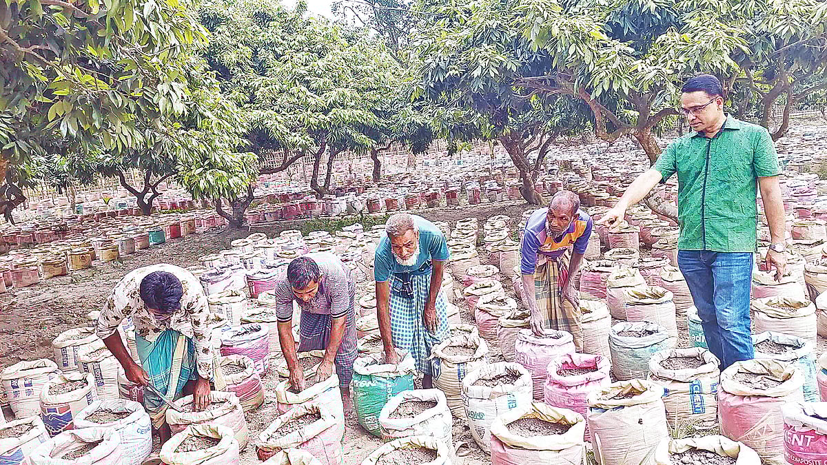 ছবি: প্রথম আলো 