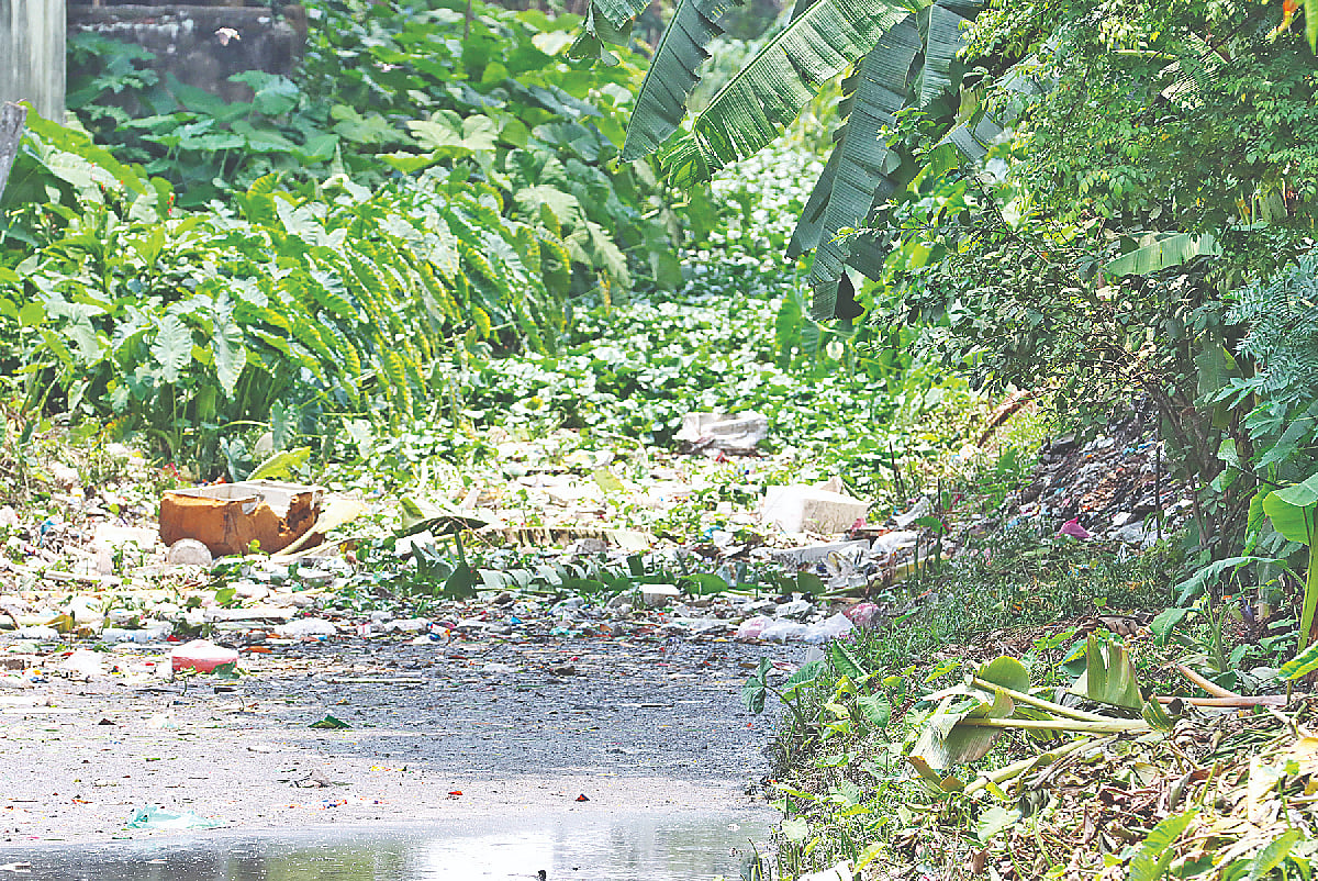 ছবি: প্রথম আলো