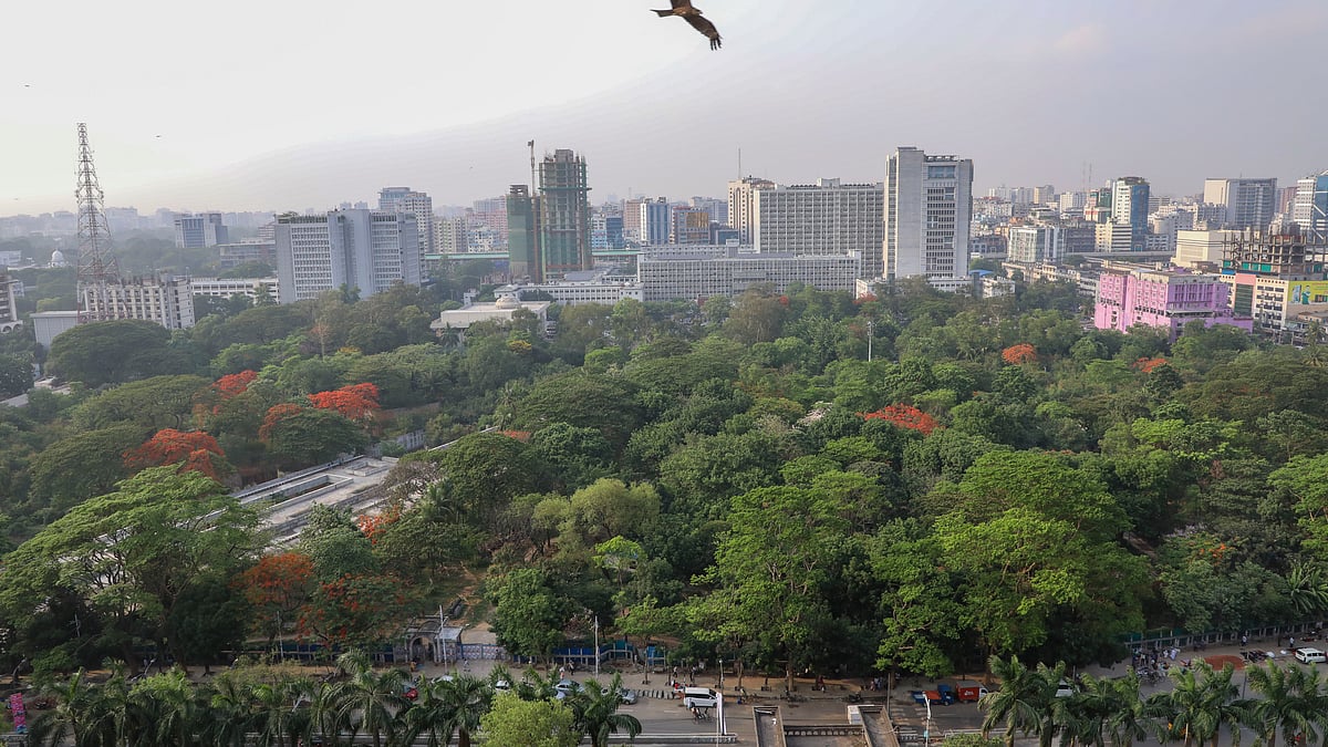 ছবি: দীপু মালাকার