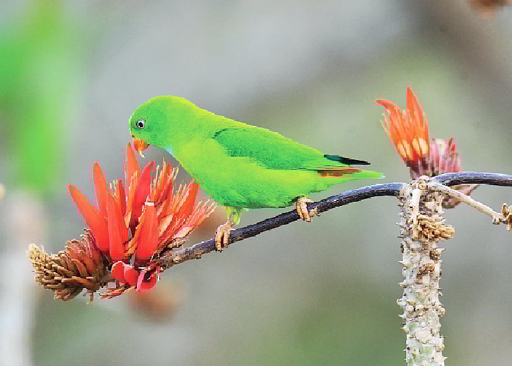 ছবি: লেখক