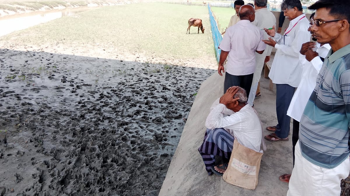 ছবি: প্রথম আলো 