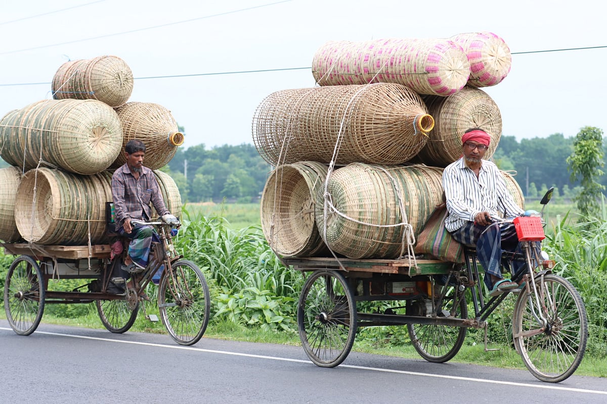 ছবি: আলীমুজ্জামান 