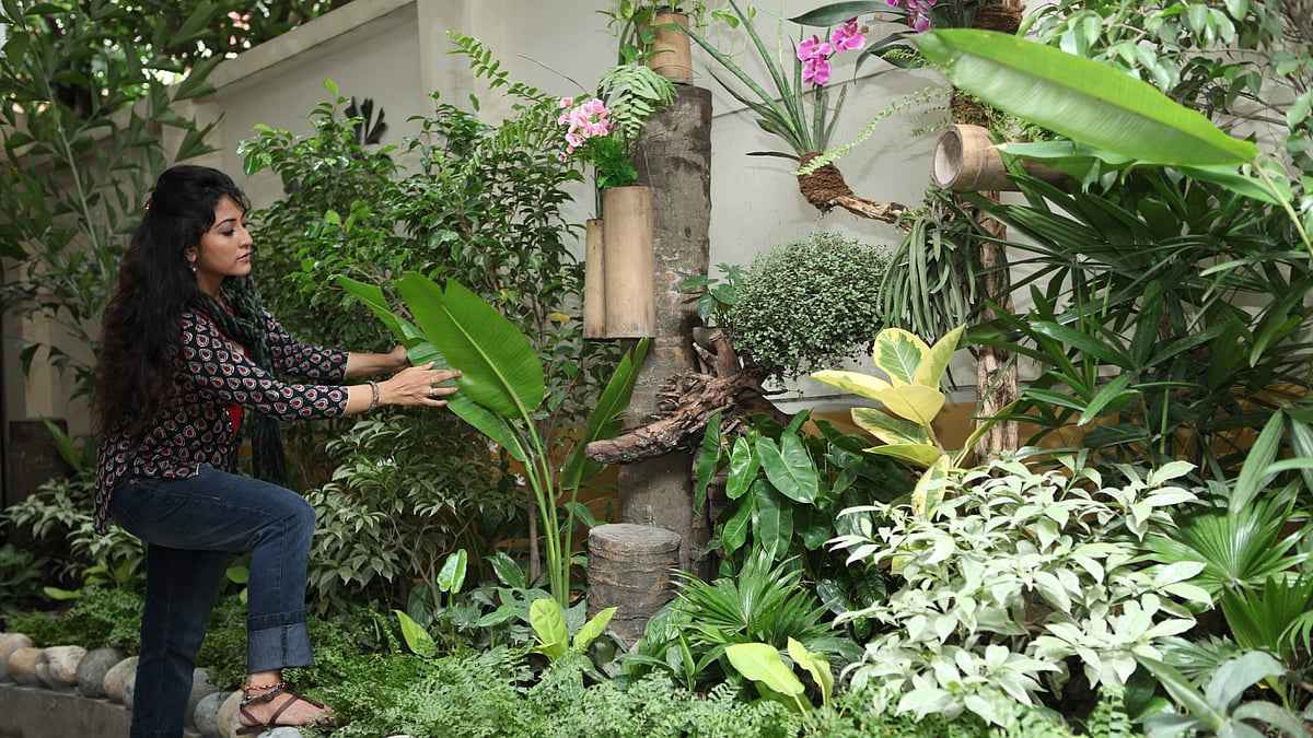 ছবি : নকশা