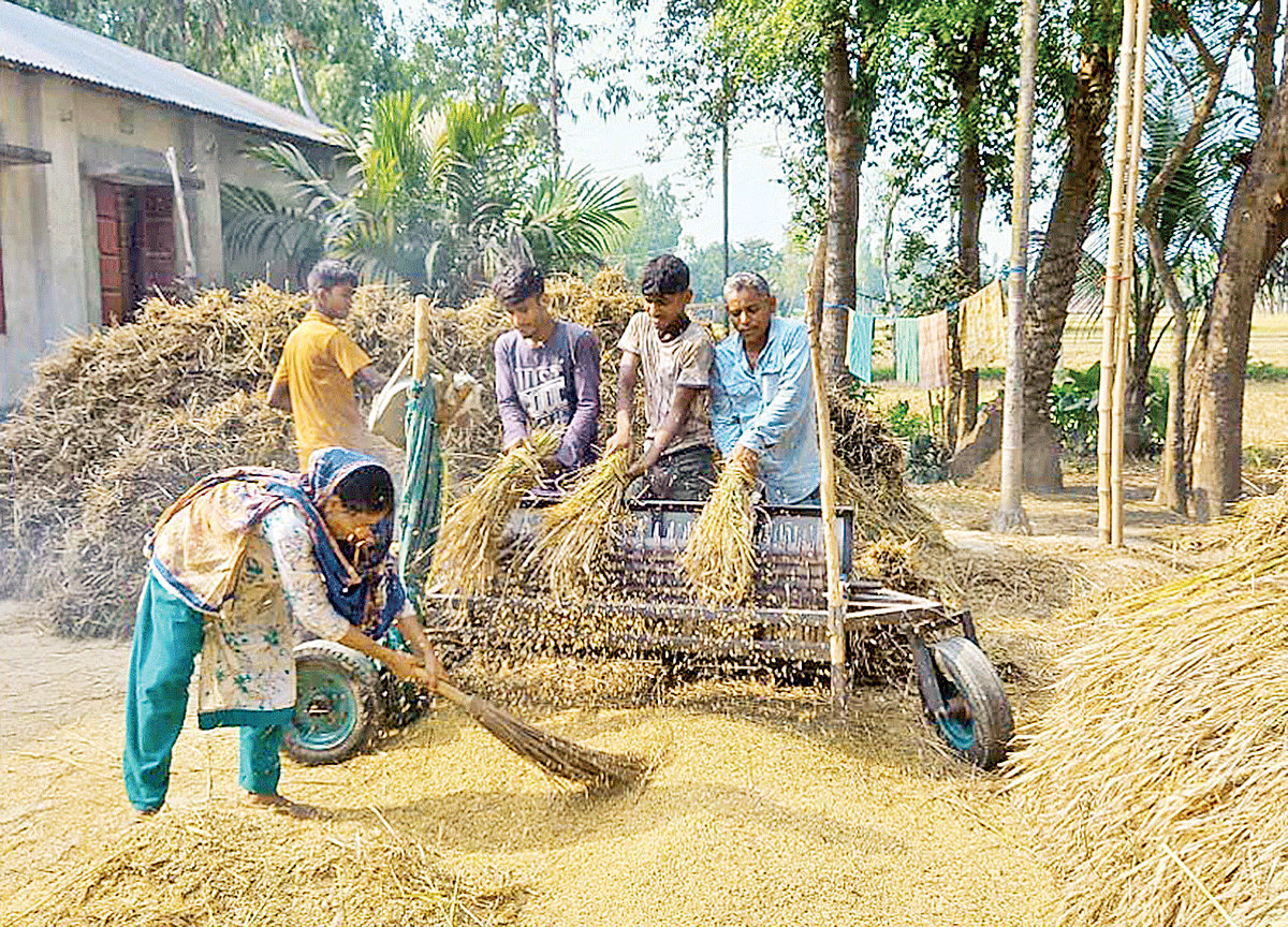 ছবি: প্রথম আলো