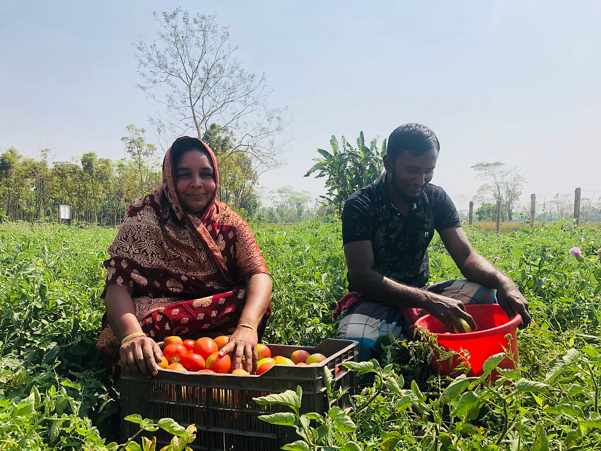 ছবি: প্রখম আলো