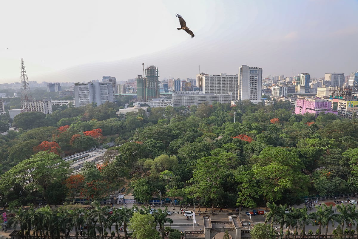 ছবি: দীপু মালাকার