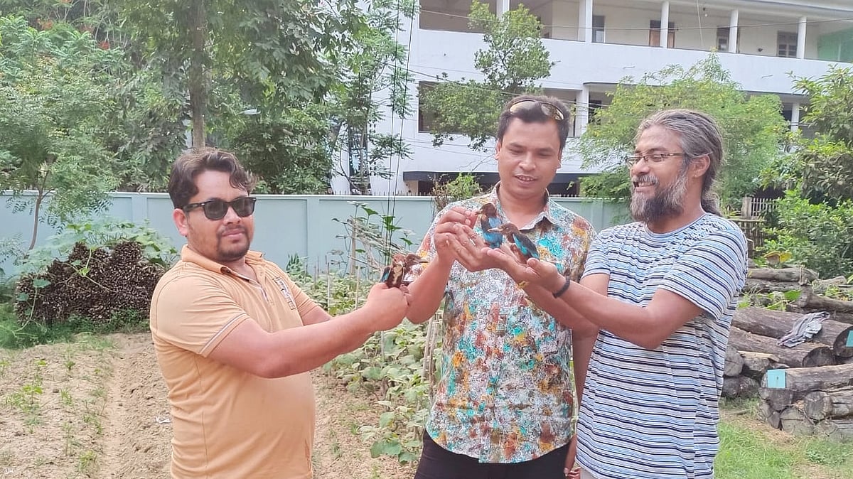 ছবি: প্রথম আলো