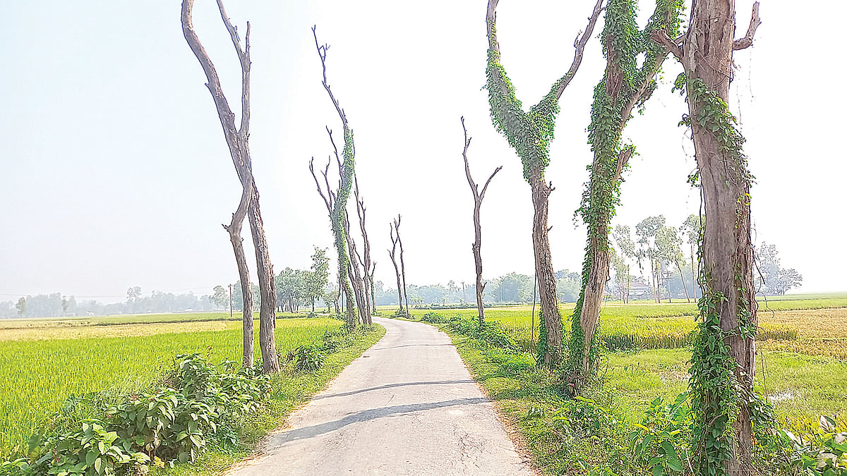 প্রথম আলো
