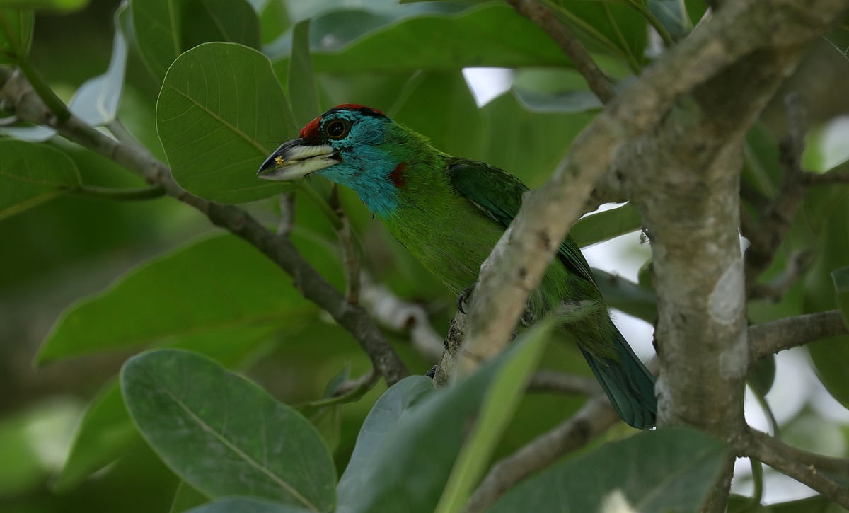 ছবি: সোয়েল রানা
 