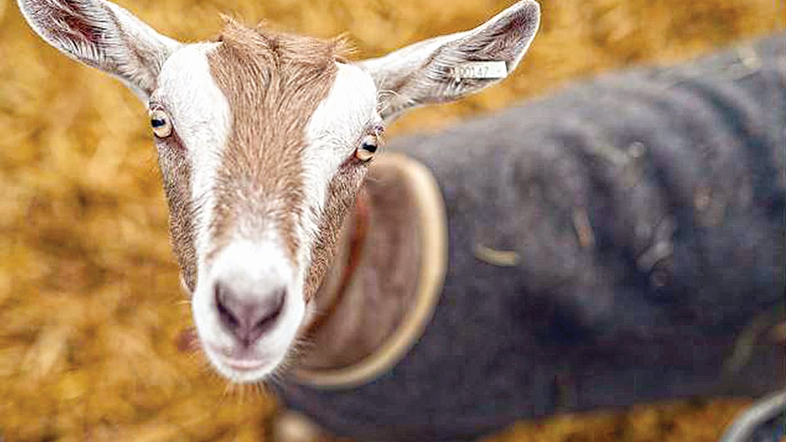 প্রতীকী ছবি:  এএফপি