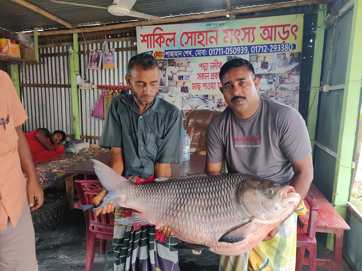 ছবি: প্রথম আলো