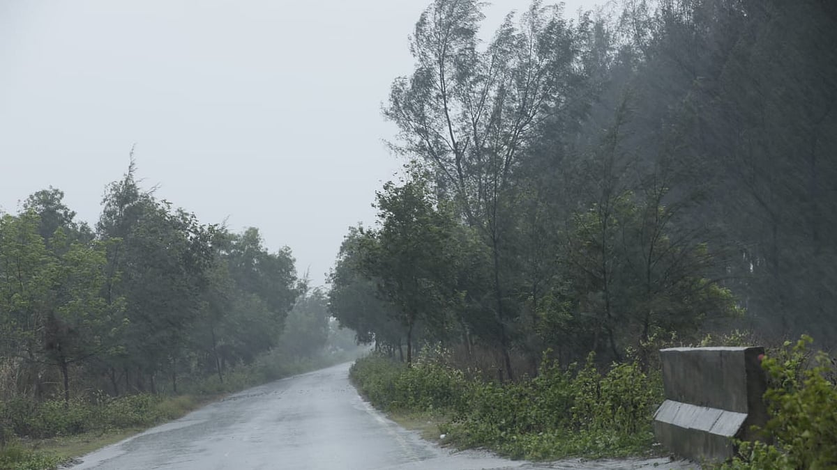 ছবি: সৌরভ দাশ