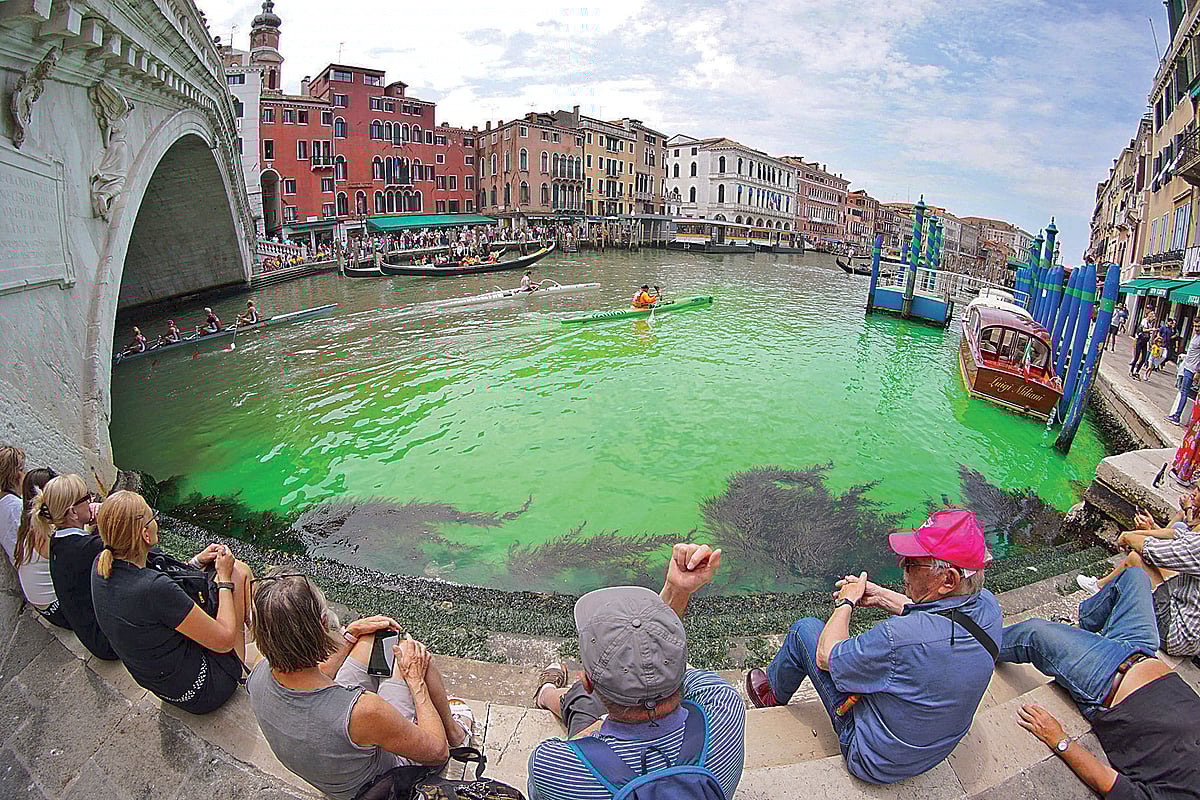 ছবি: এএফপি 