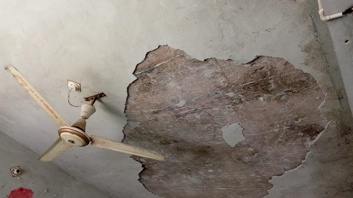 ছবি: প্রথম আলো