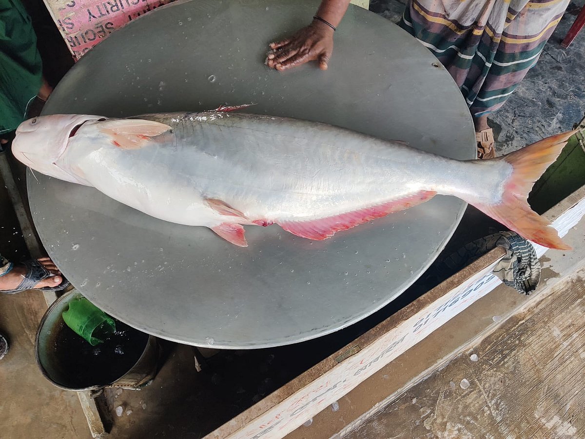 ছবি: প্রথম আলো