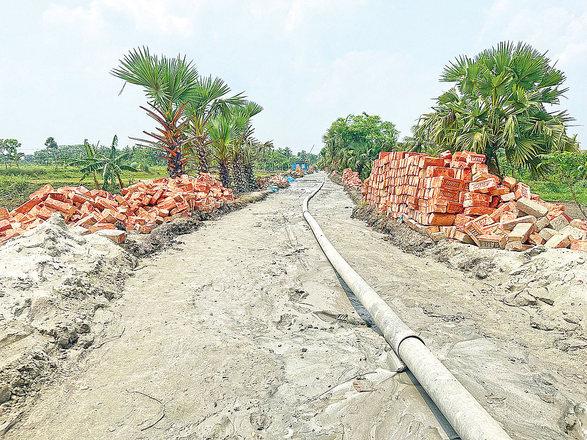 ছবি: প্রথম আলো