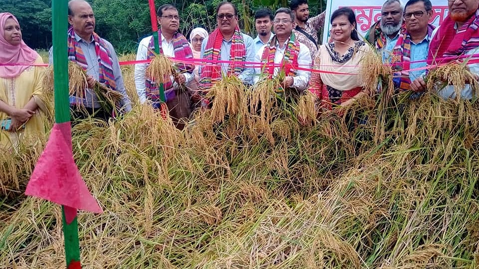 ছবি: প্রথম আলো