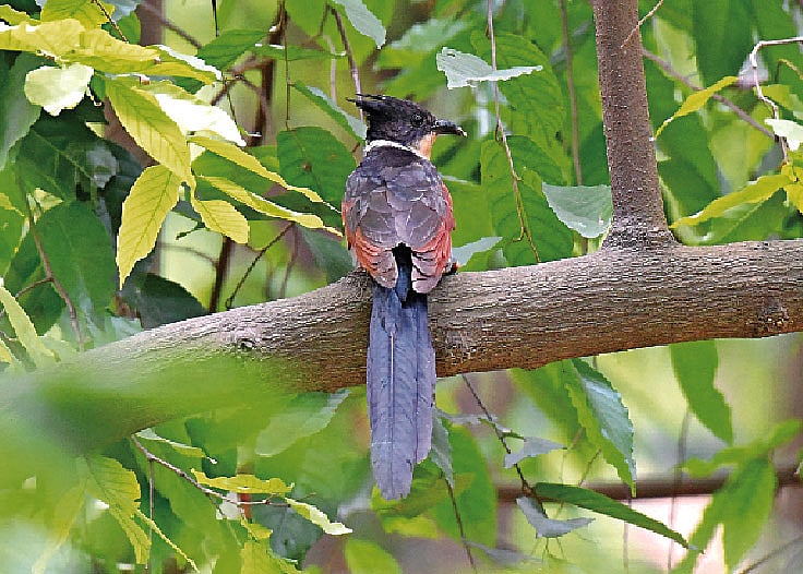 ছবি: লেখক