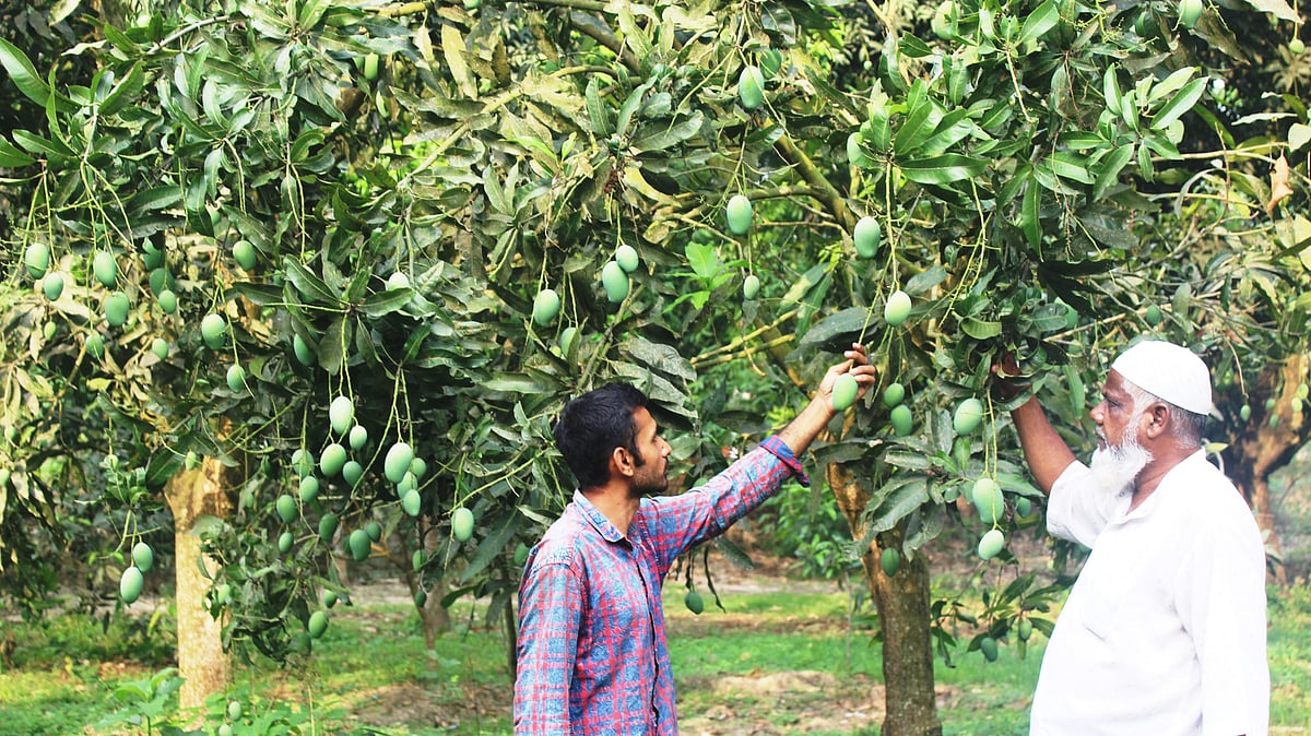 ছবি: প্রথম আলো