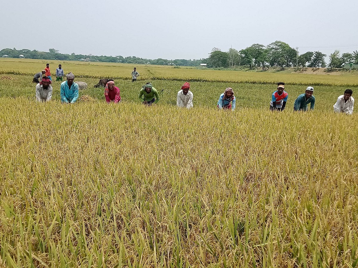 ছবি: প্রথম আলো