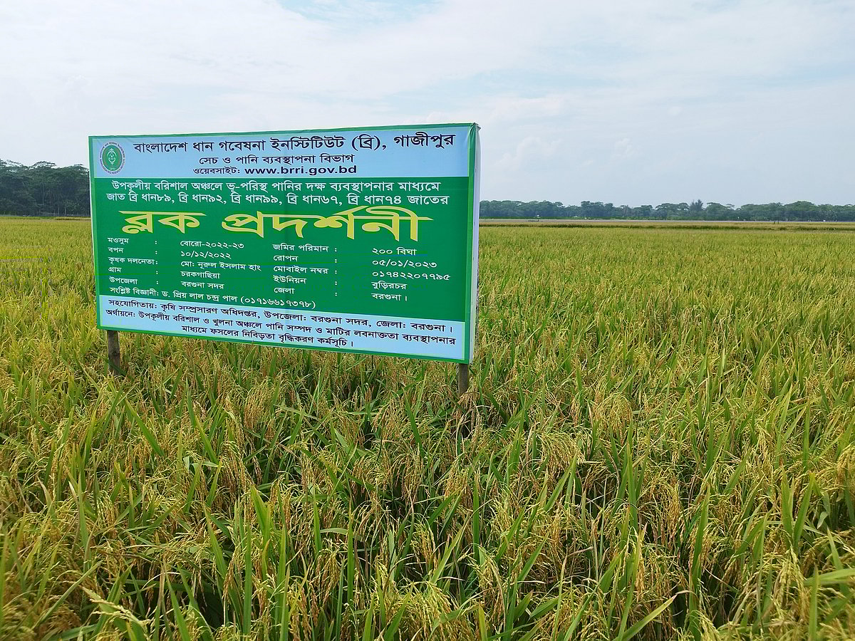 ছবি: কৃষি মন্ত্রণালয়ের সৌজন্যে