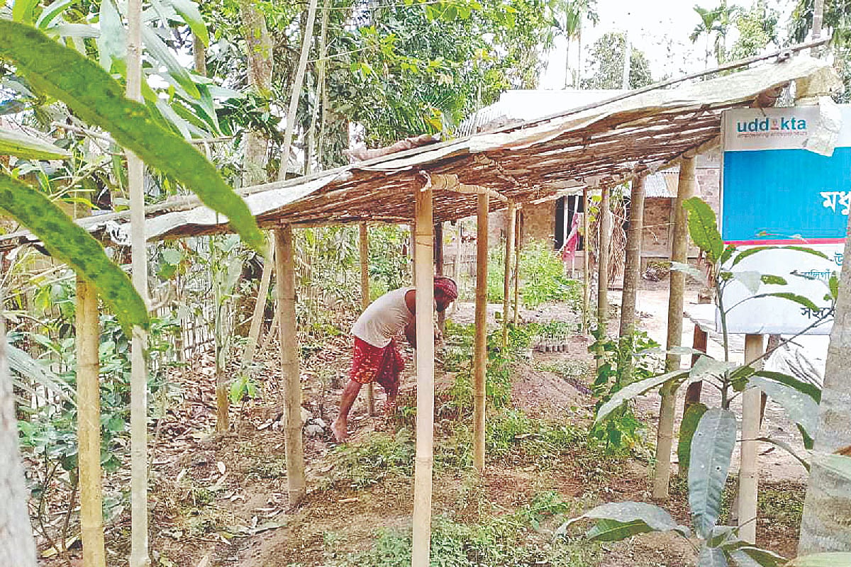 প্রথম আলো