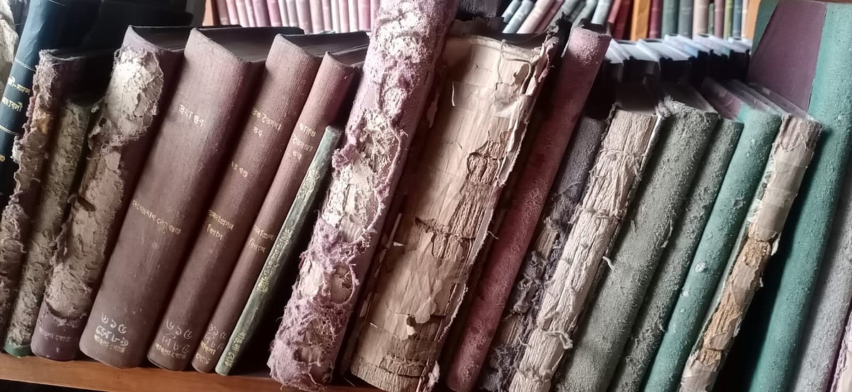 ছবি: সাদিয়া মাহ্জাবীন ইমাম