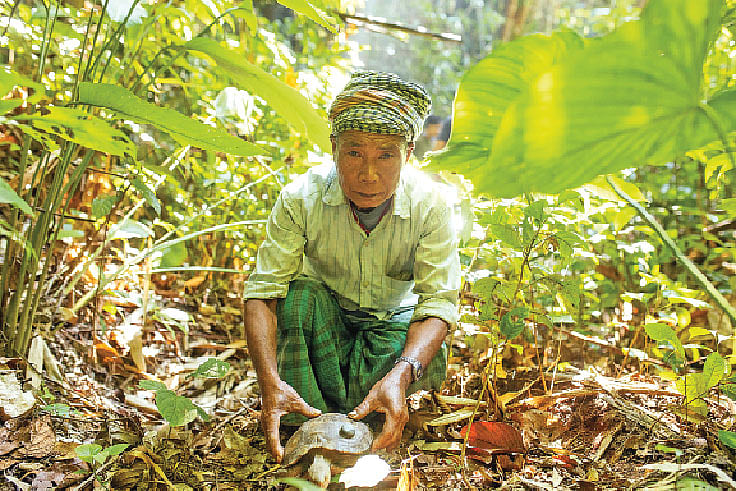 ছবি: ক্রিয়েটিভ কনজারভেশন অ্যালায়েন্স