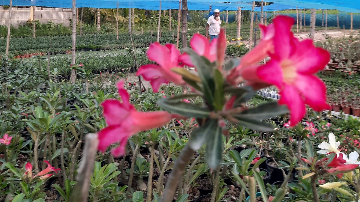 ছবি: প্রথম আলো