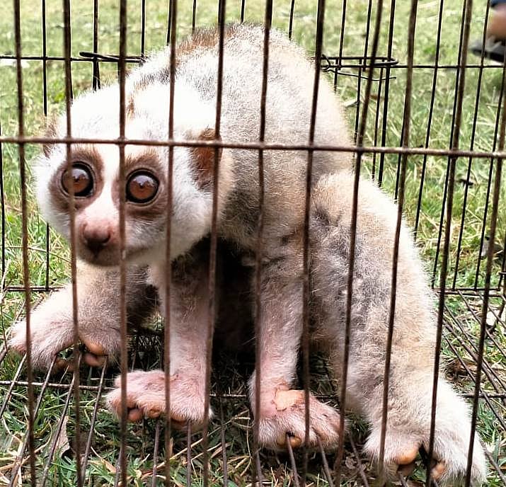 ছবি: প্রথম আলো