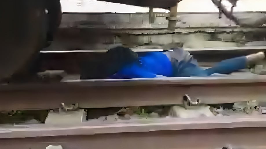 ছবি: ভিডিও থেকে নেওয়া