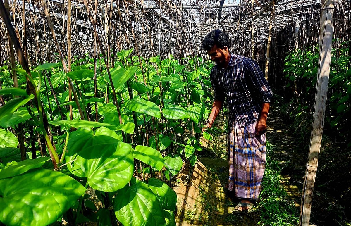  ছবি: প্রথম আলো