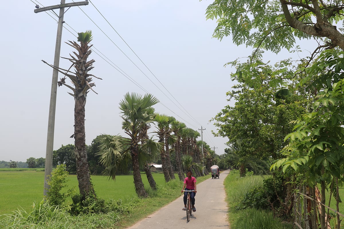 ছবি: প্রথম আলো