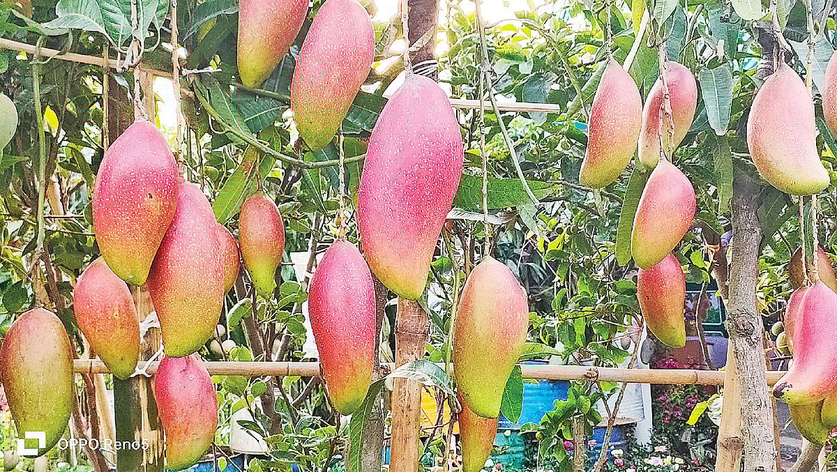 ছবি: লেখক