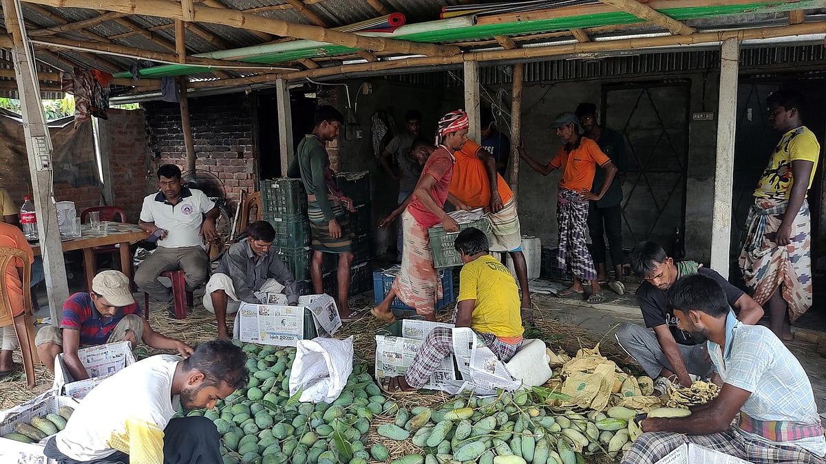 ছবি: প্রথম আলো