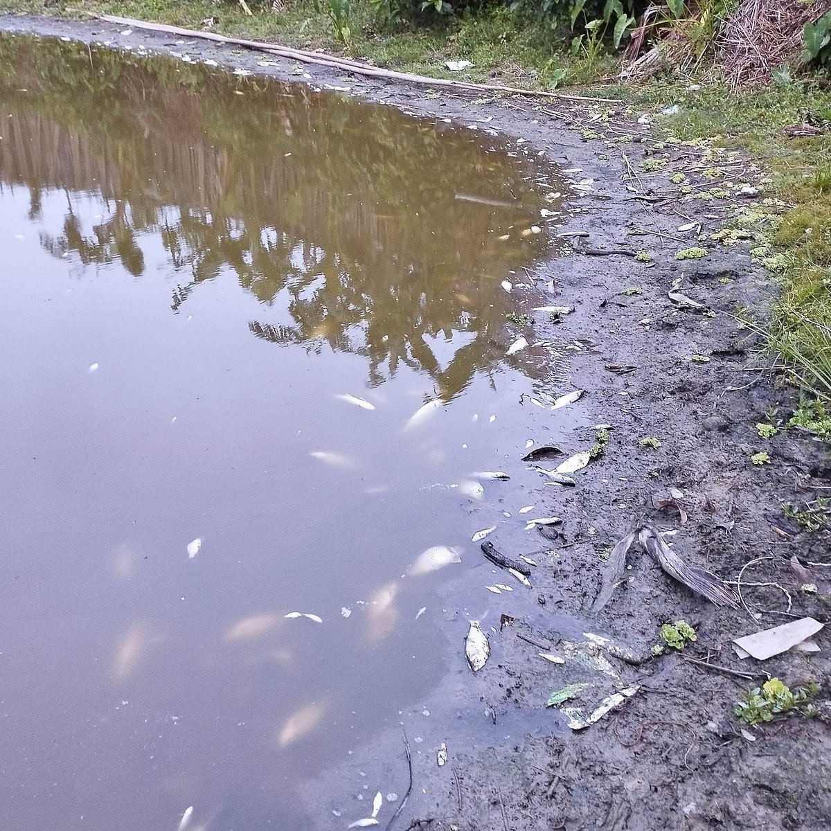 ছবি: প্রথম আলো