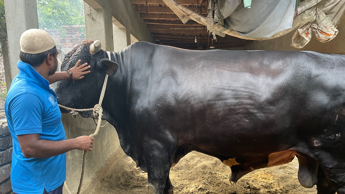 ছবি: প্রথম আলো