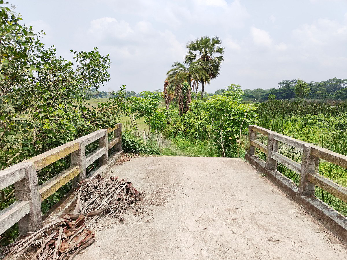 ছবি: প্রথম আলো