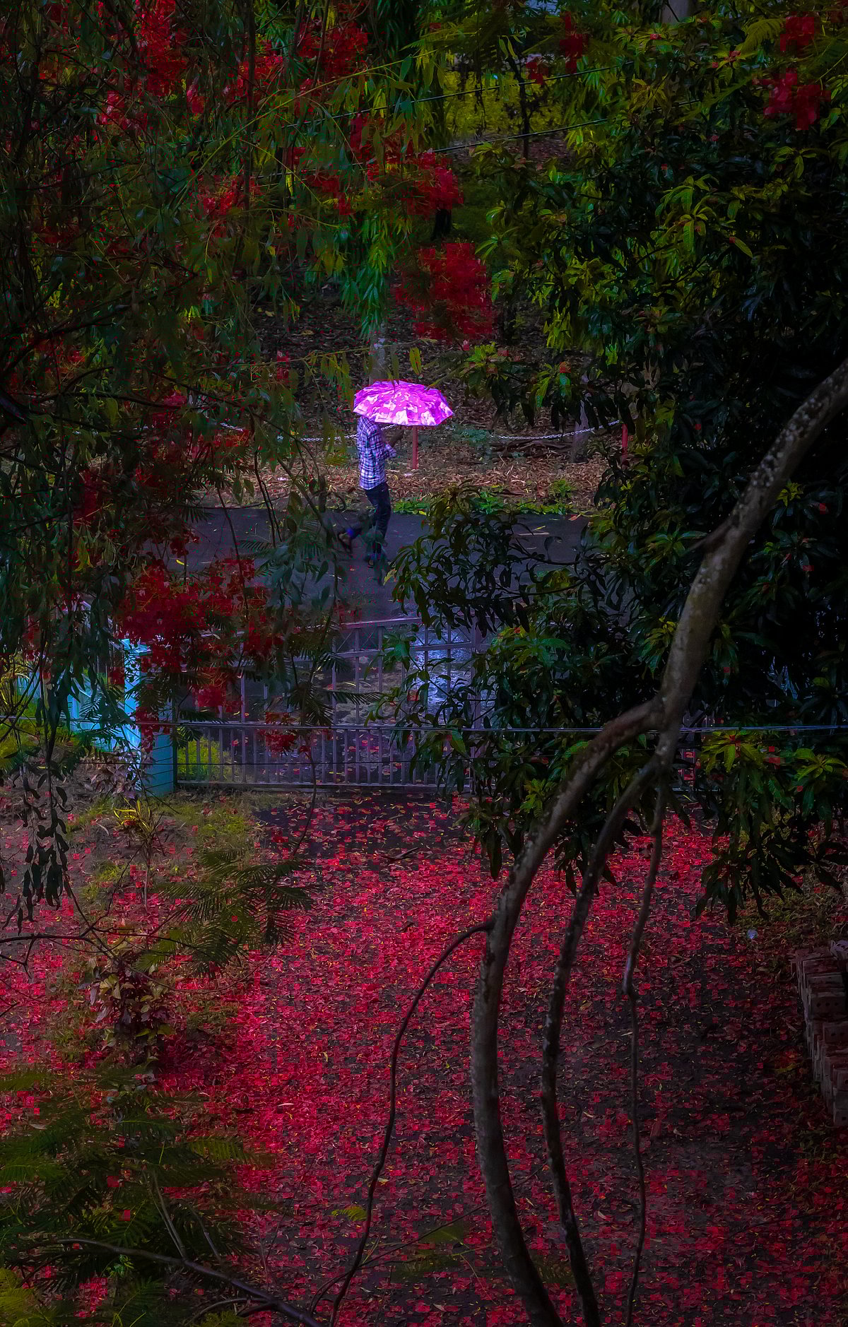 চট্টগ্রাম প্রকৌশল ও প্রযুক্তি বিশ্ববিদ্যালয়ে এই ছবি তুলেছেন শাদমান সারার