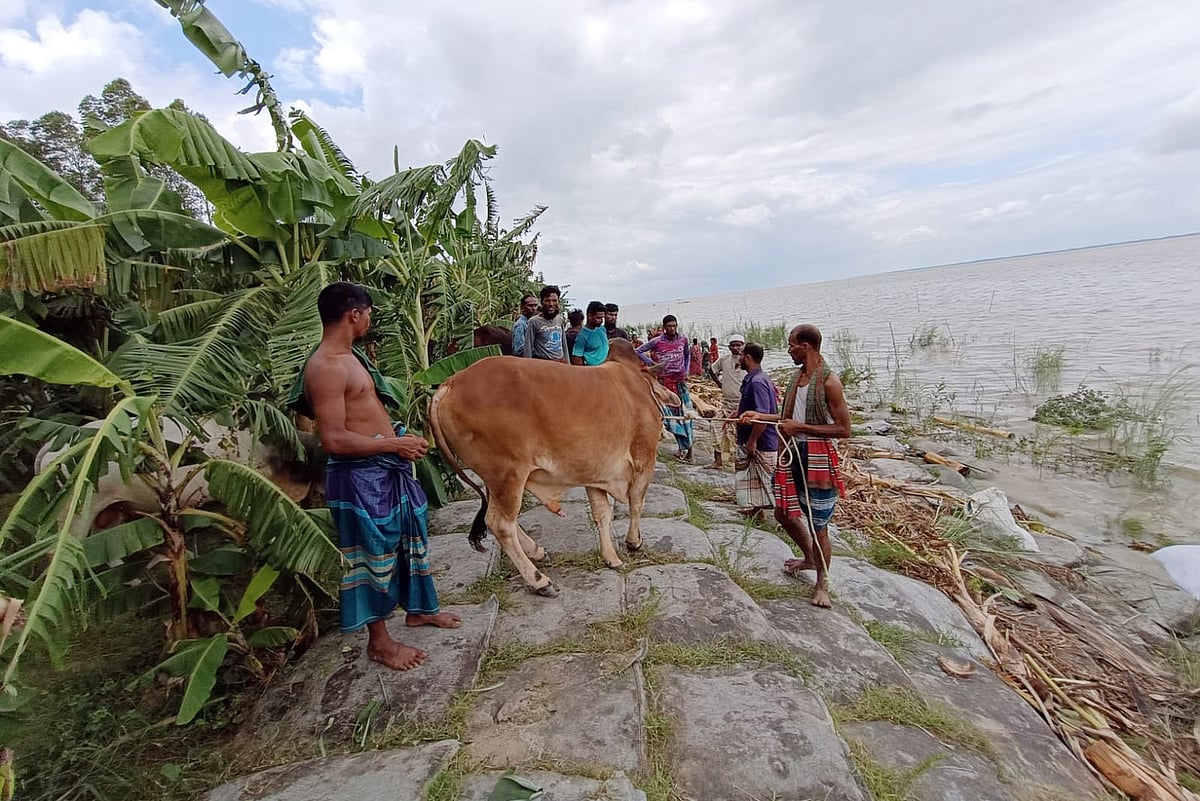 ছবি: আব্দুল মোমিন