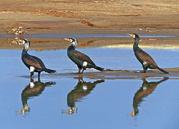 ছবি: লেখক