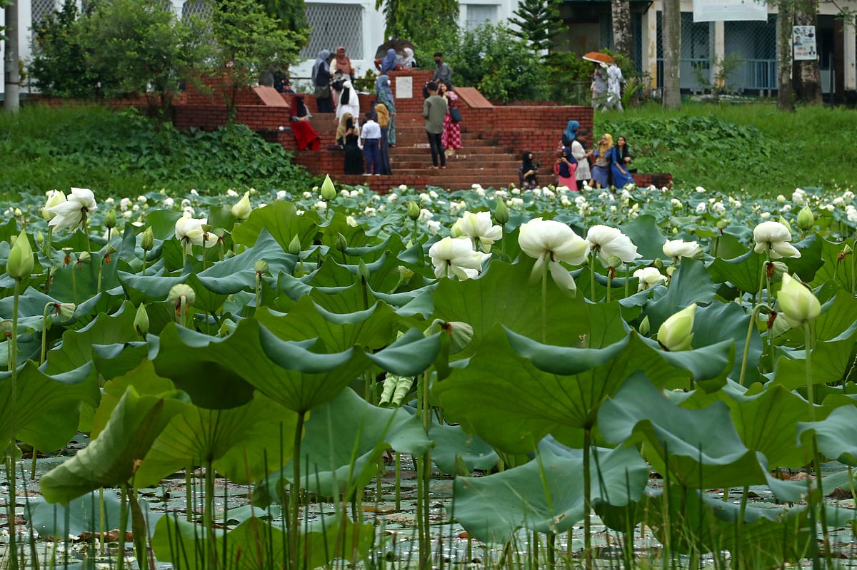 ছবি: আনিস মাহমুদ