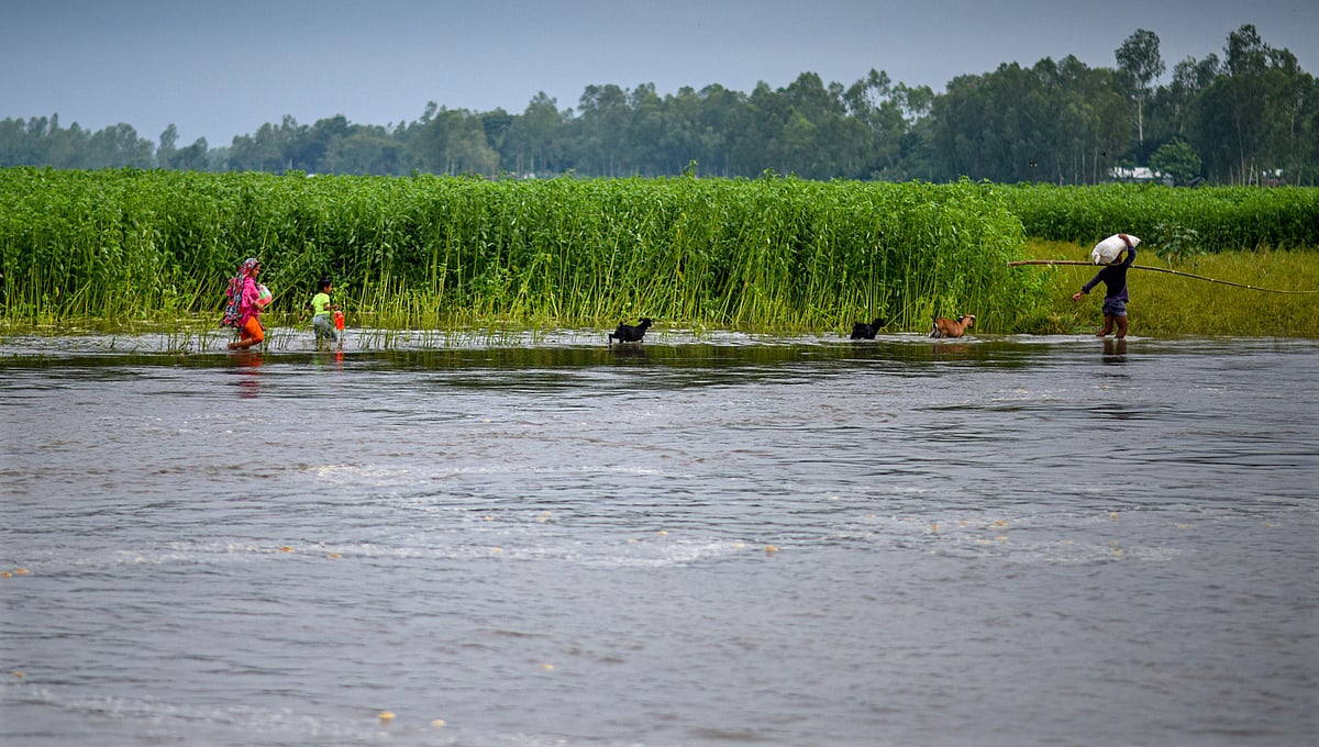  ছবি: প্রথম আলো