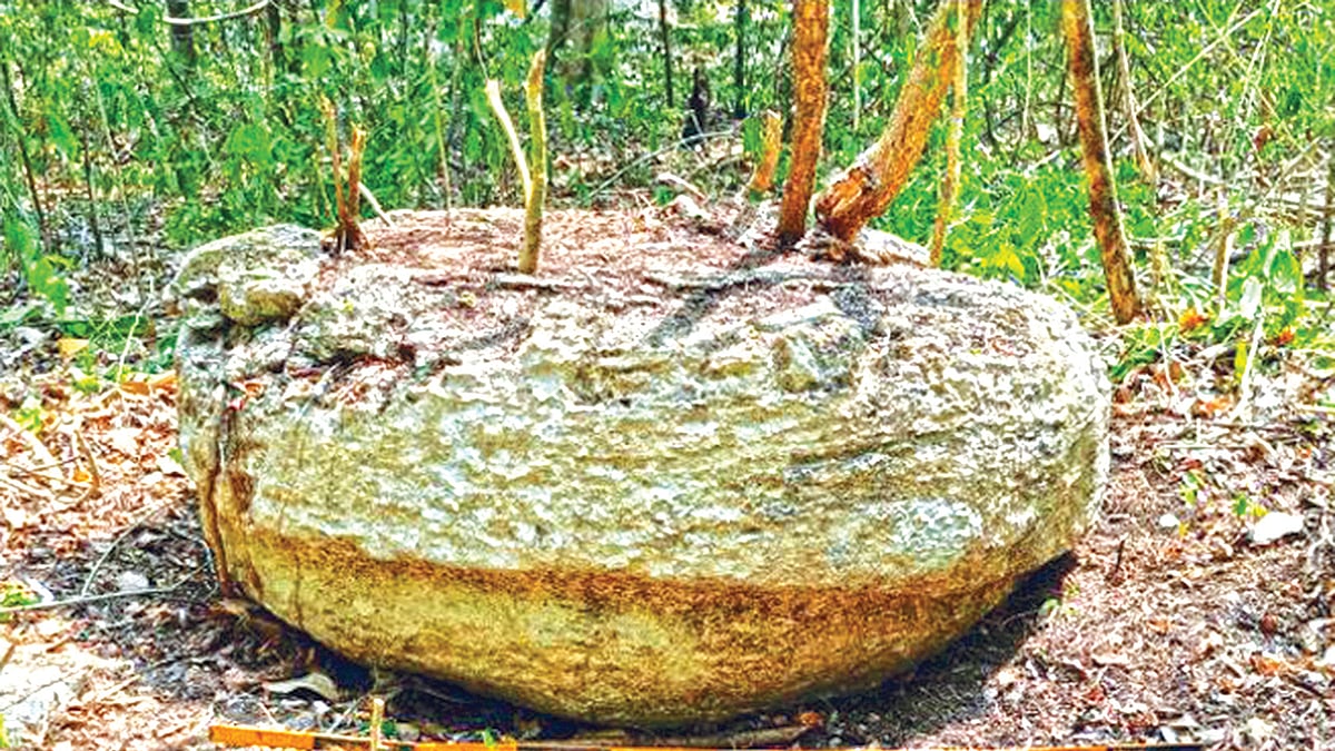 ছবি: রয়টার্স 