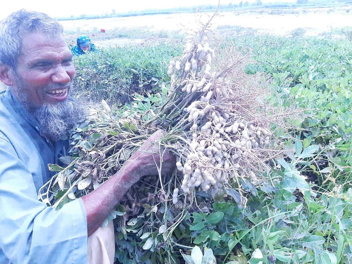  প্রথম আলো