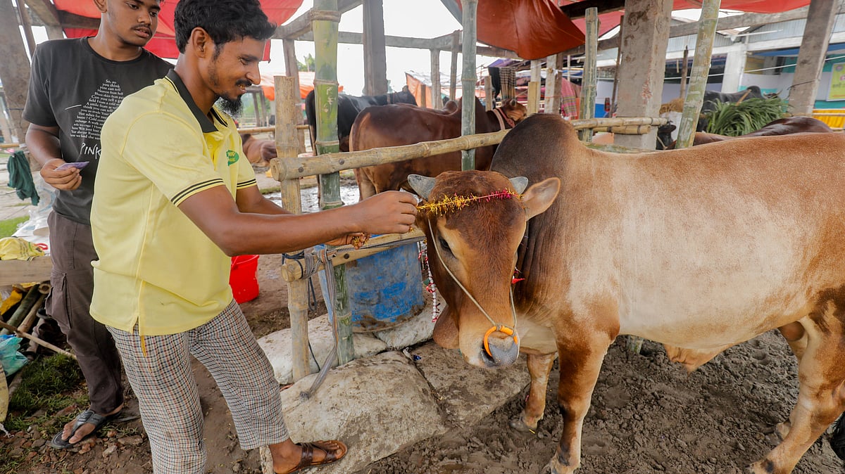  ছবি: প্রথম আলো