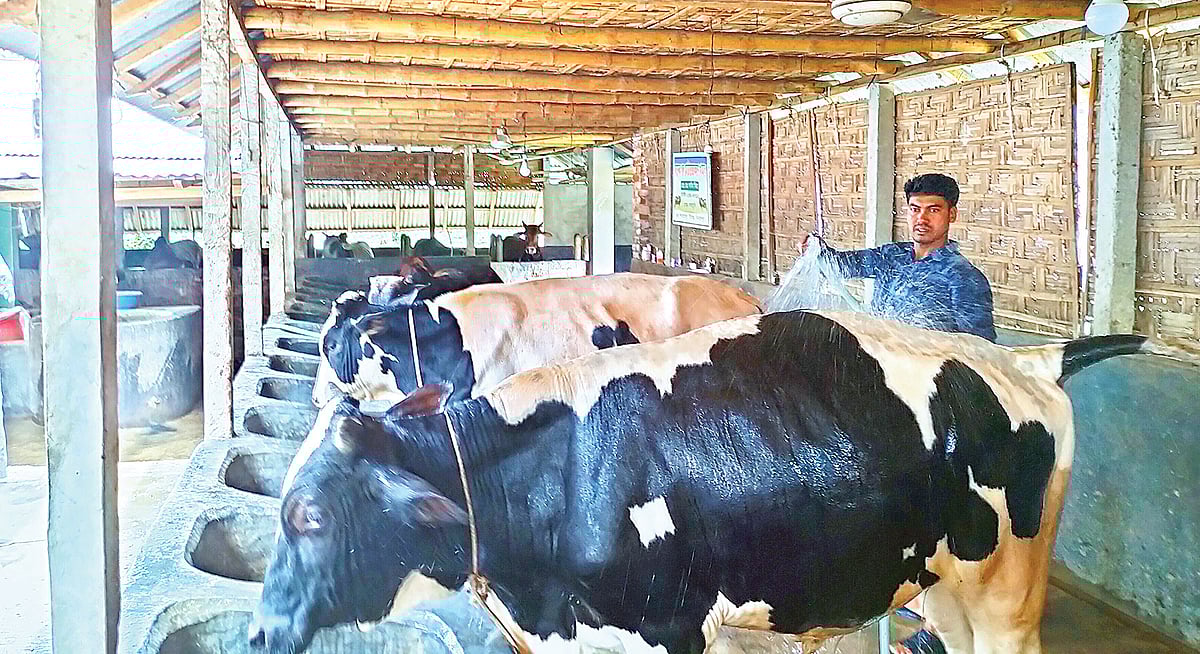  ছবি: প্রথম আলো 